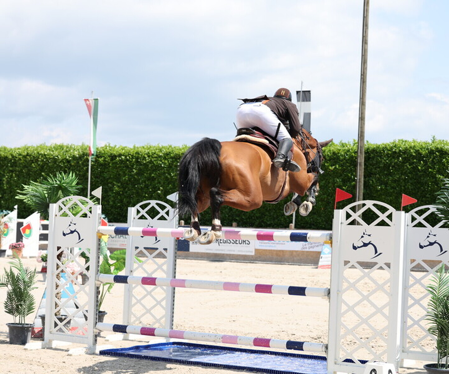 Description de l'image