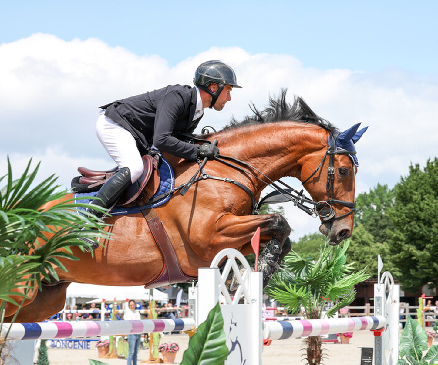 Description de l'image