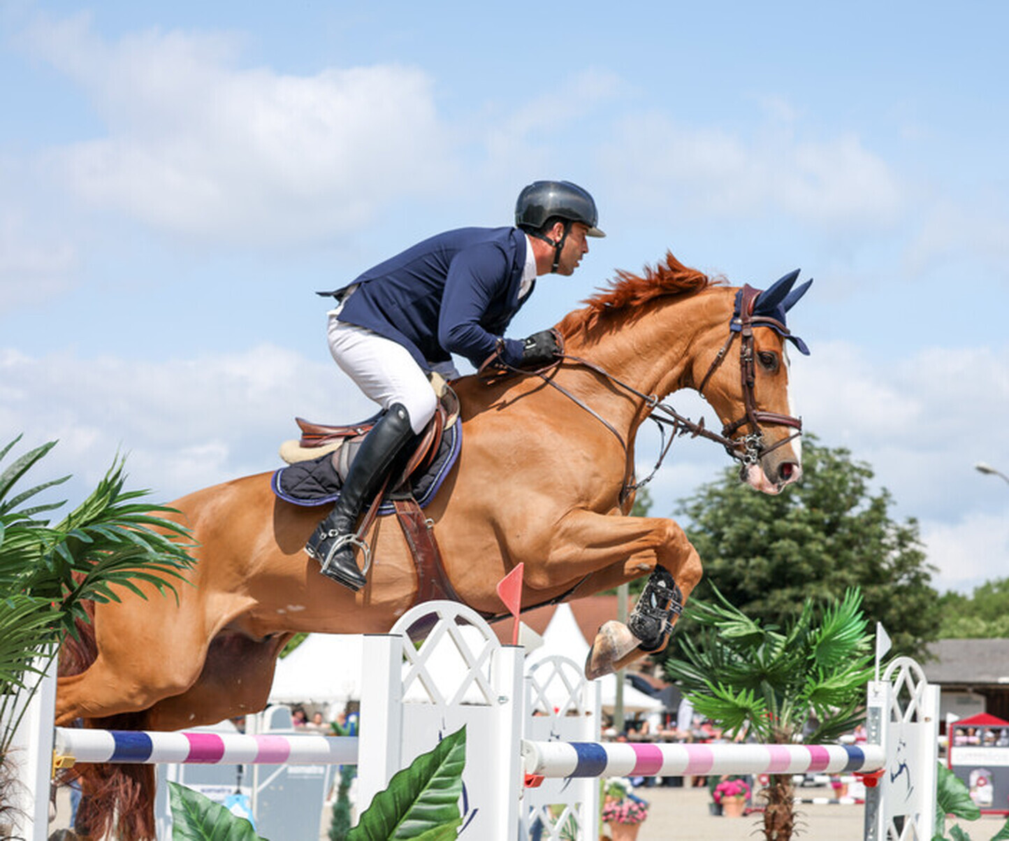 Description de l'image