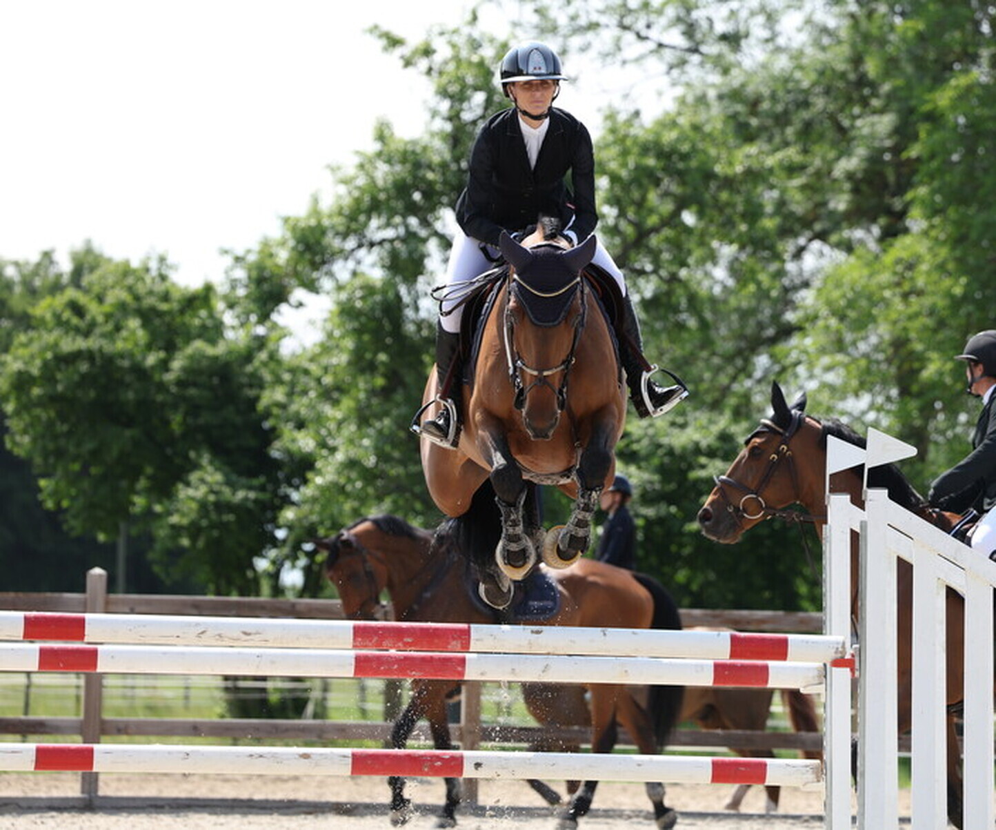 Description de l'image