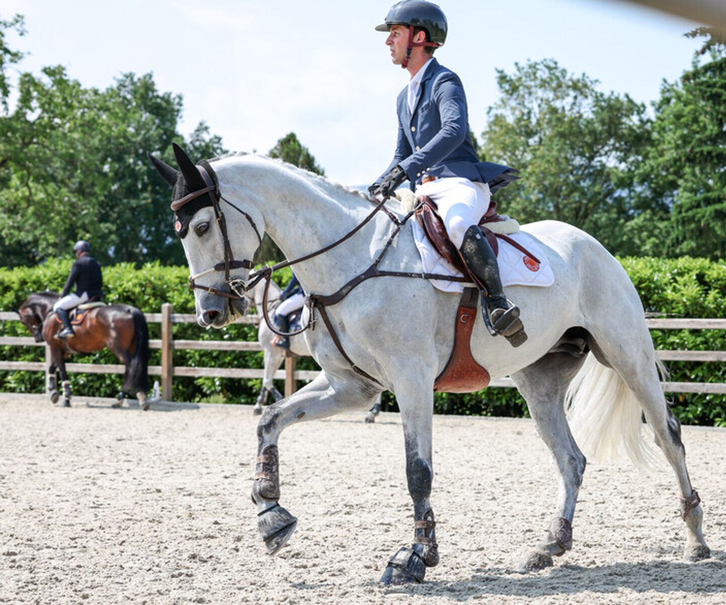 Description de l'image