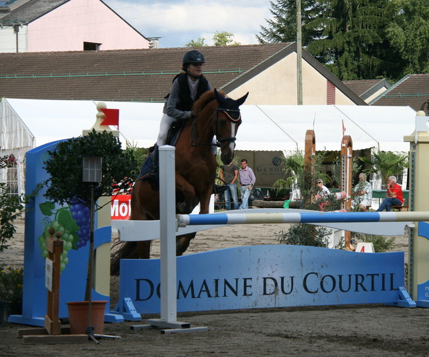 Description de l'image