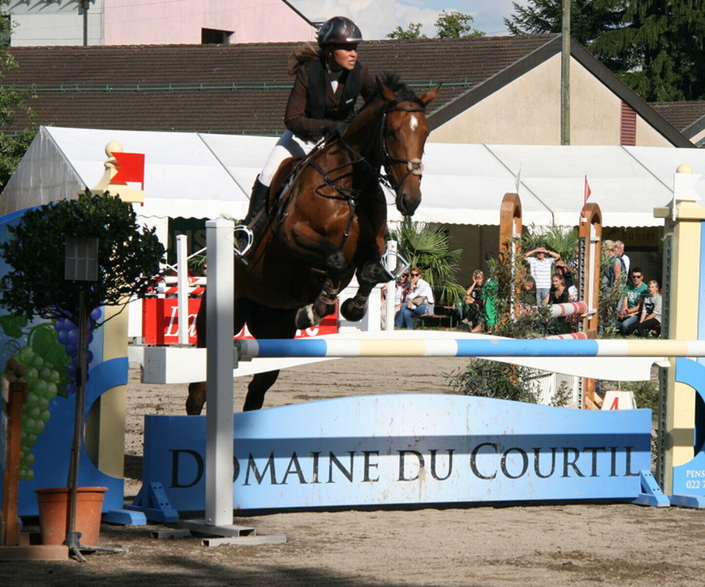 Description de l'image