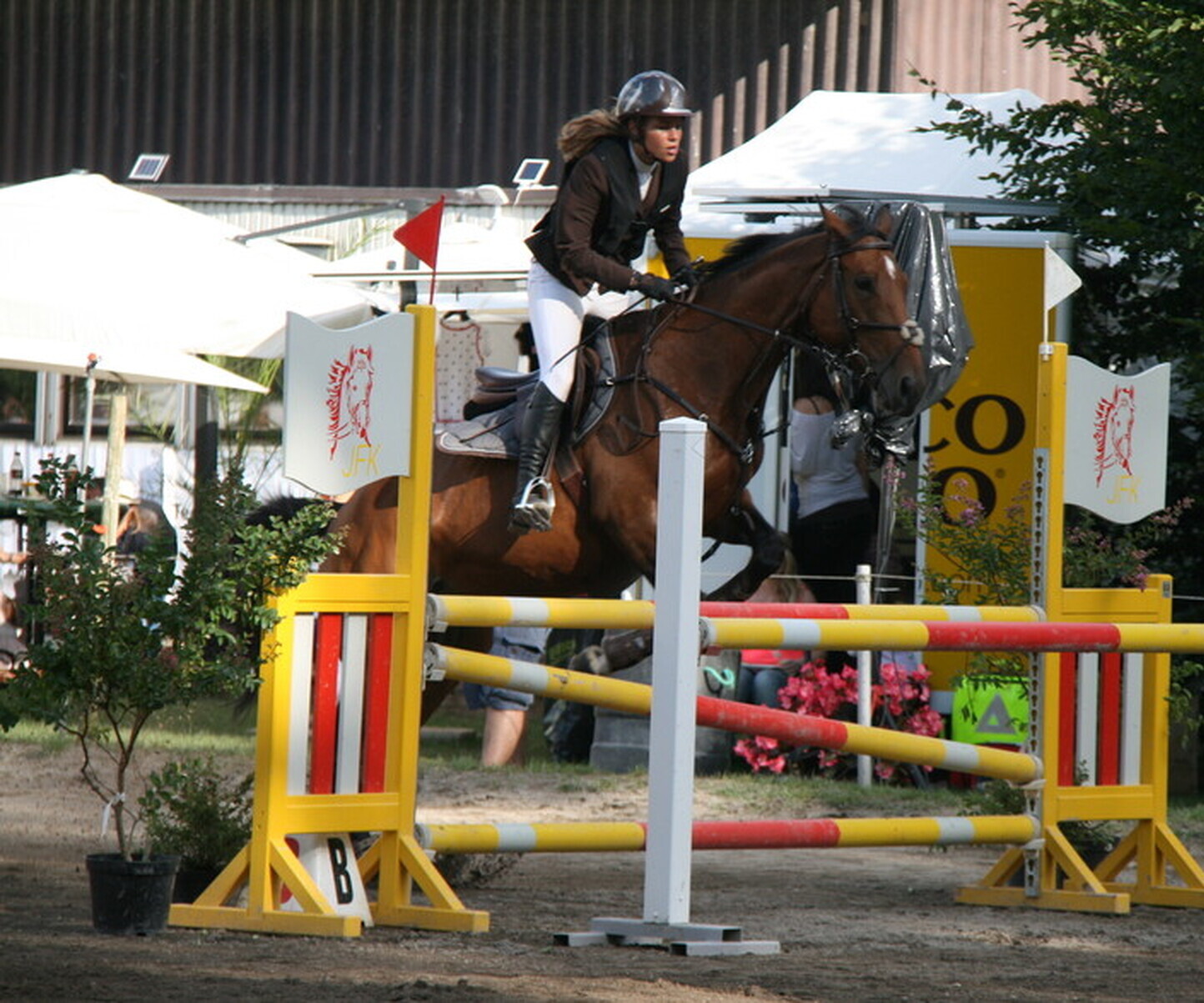 Description de l'image