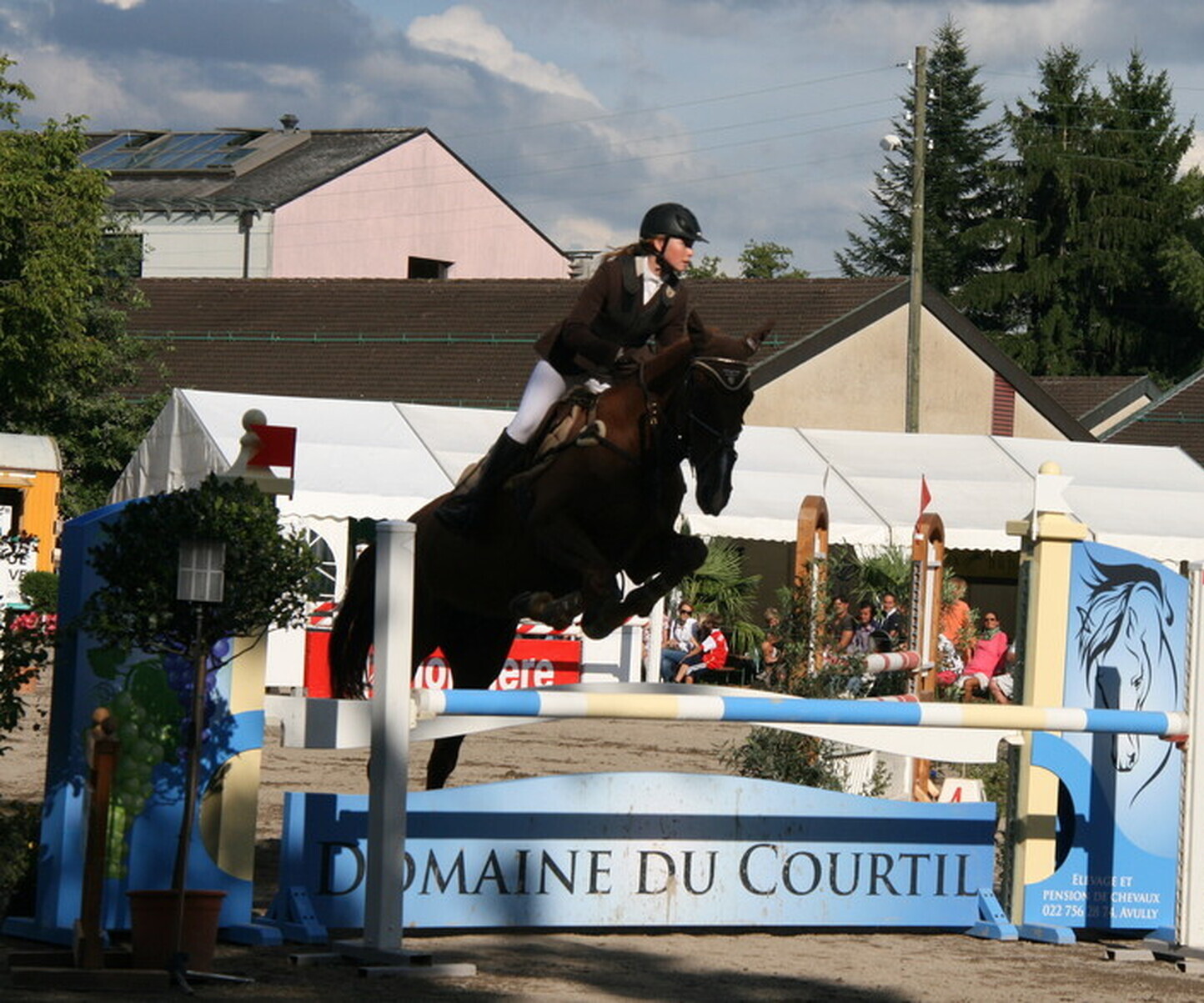 Description de l'image