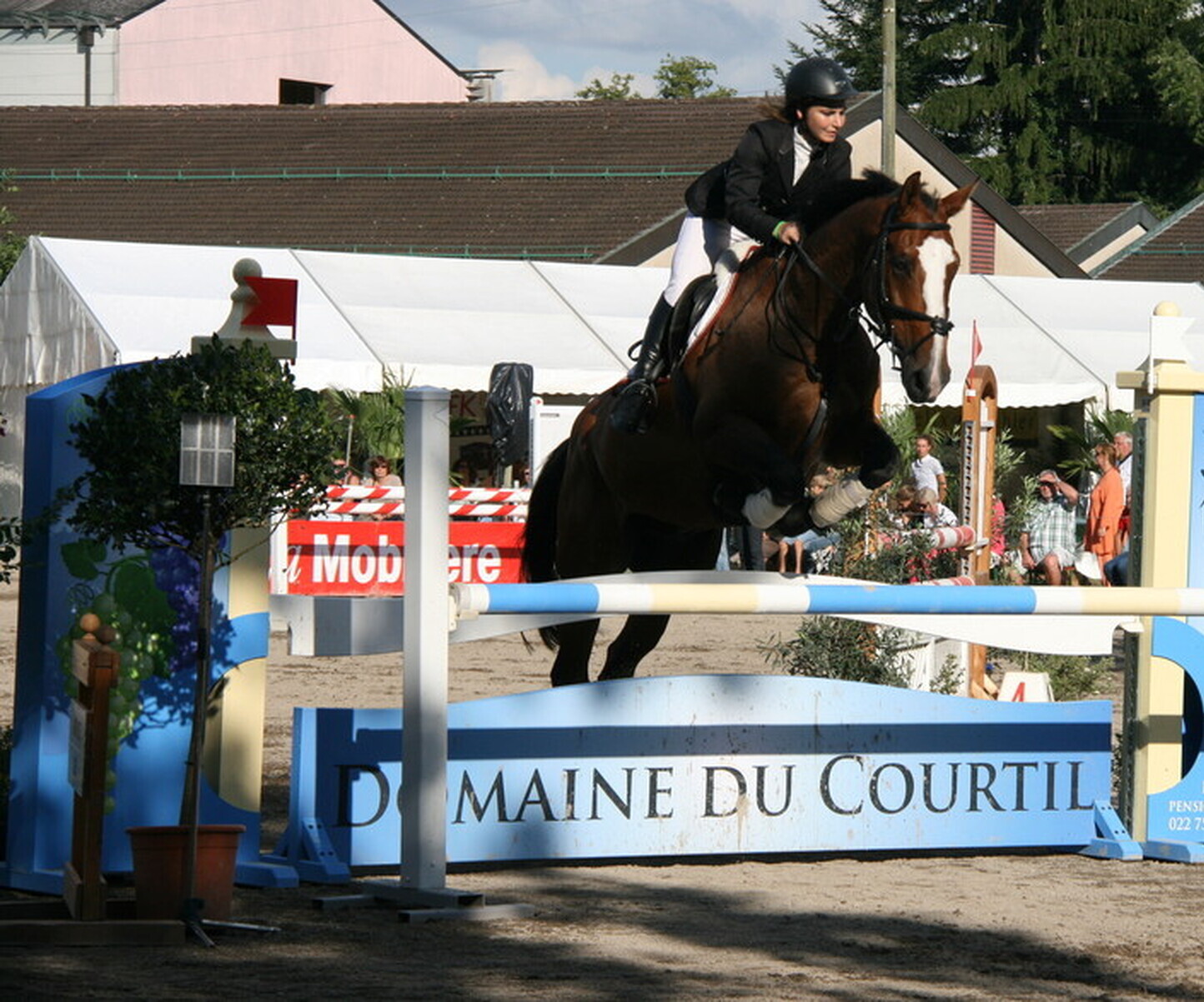 Description de l'image