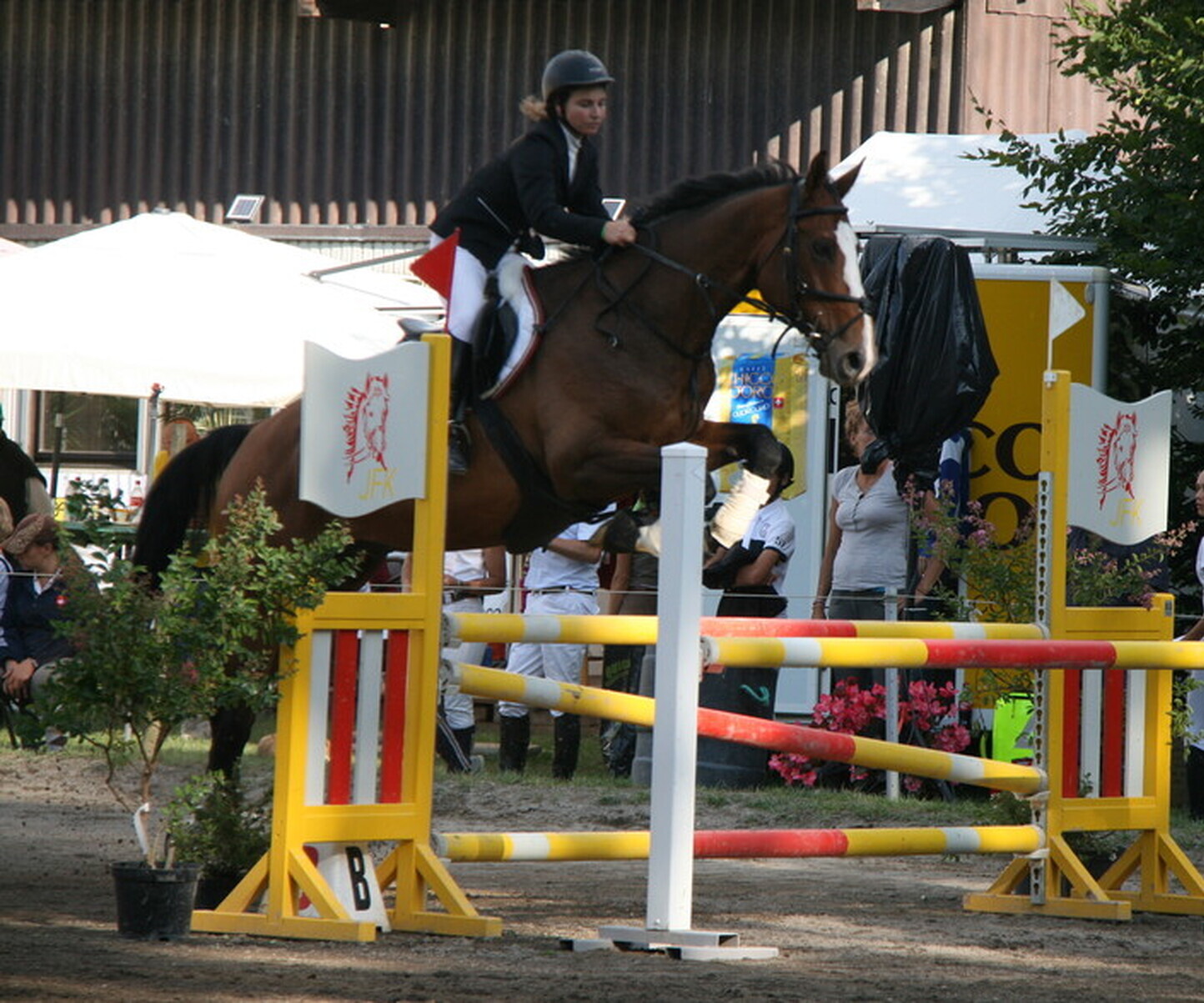 Description de l'image