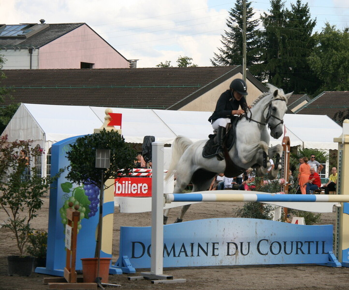 Description de l'image