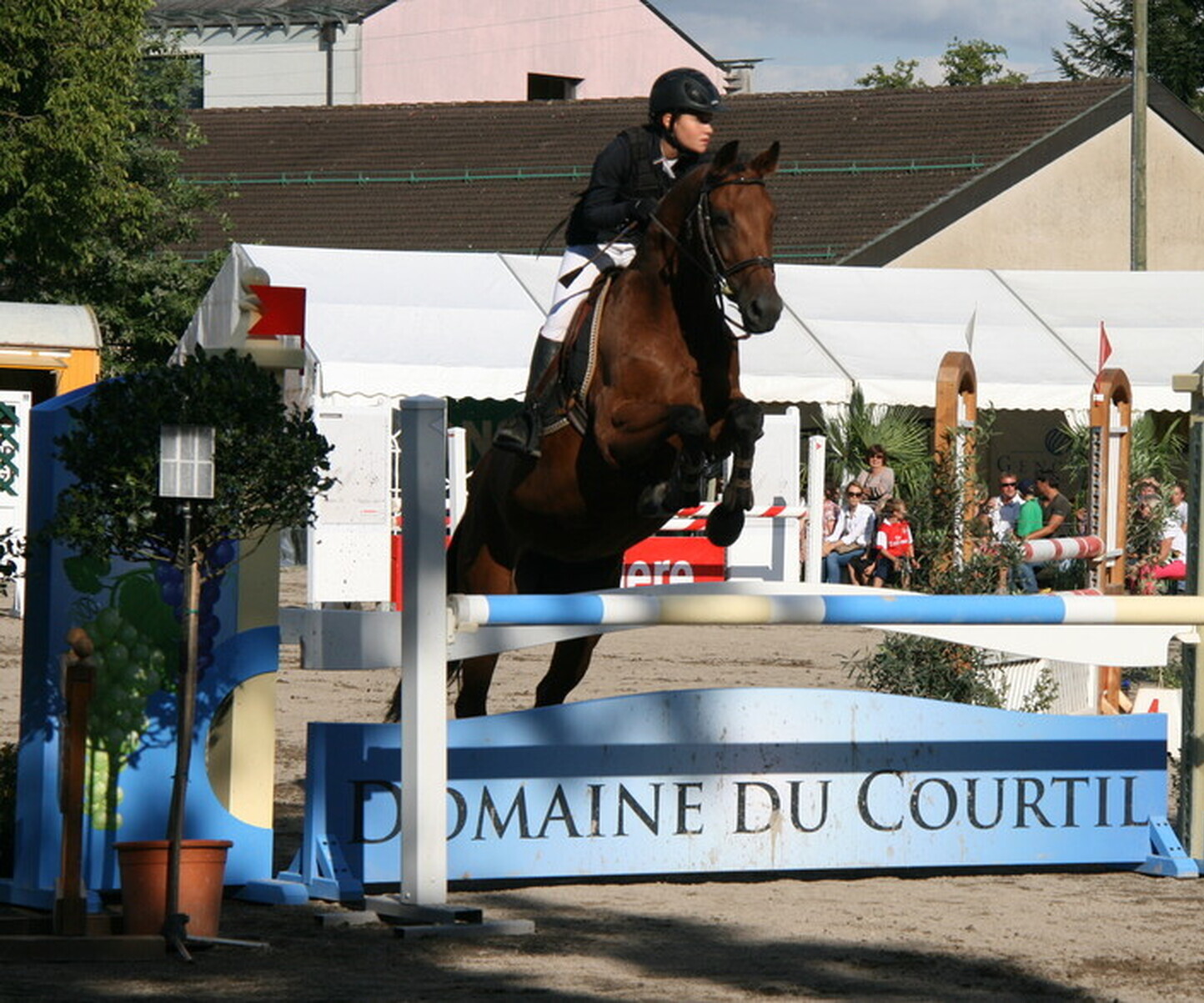 Description de l'image