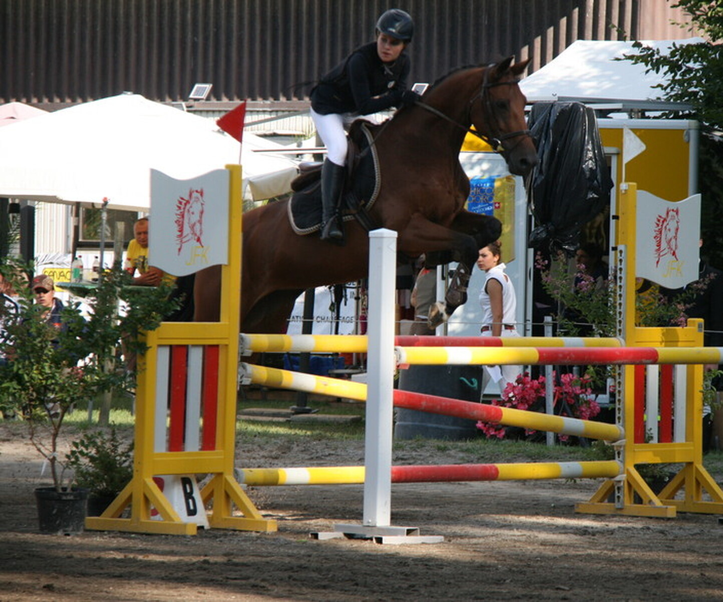 Description de l'image