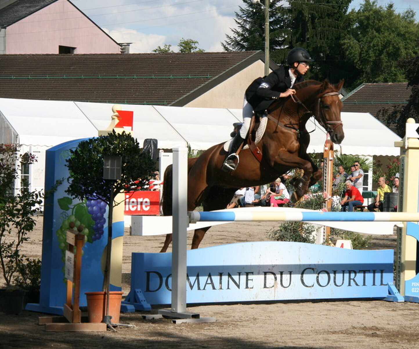 Description de l'image