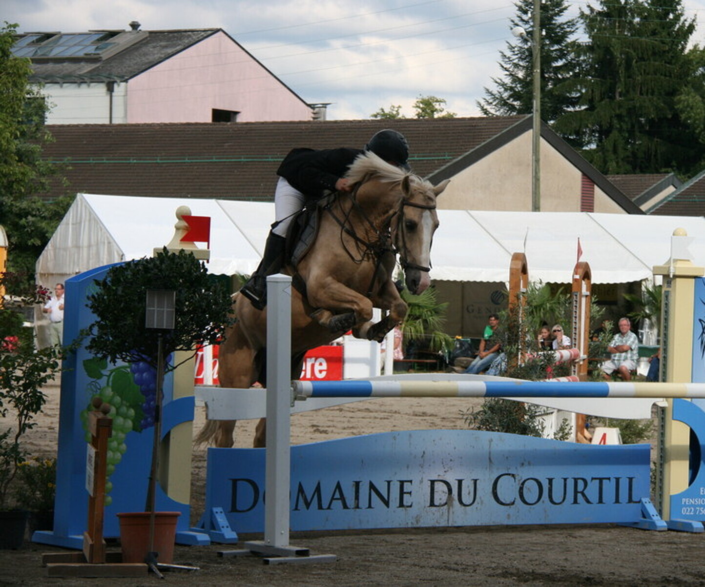 Description de l'image