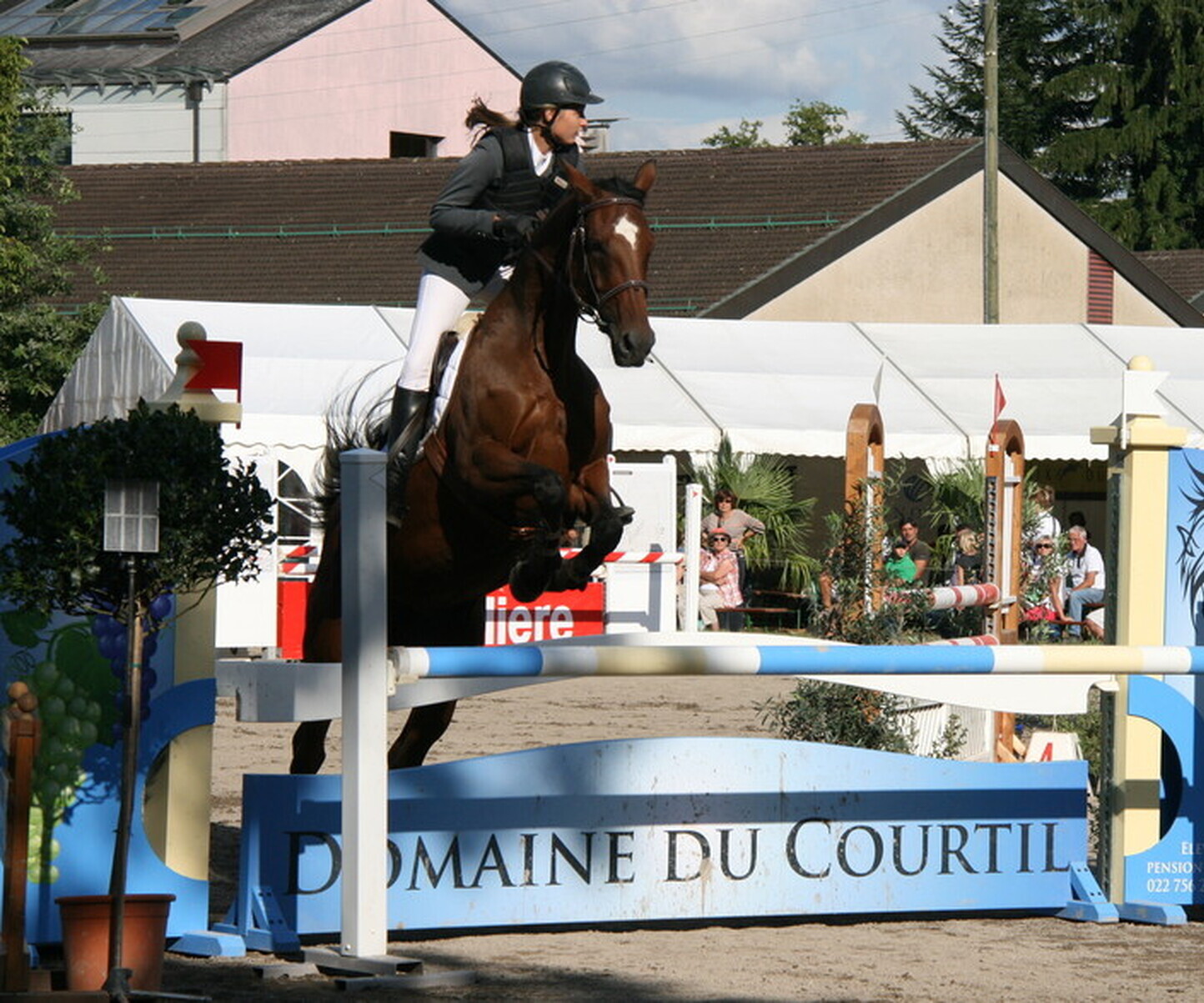 Description de l'image