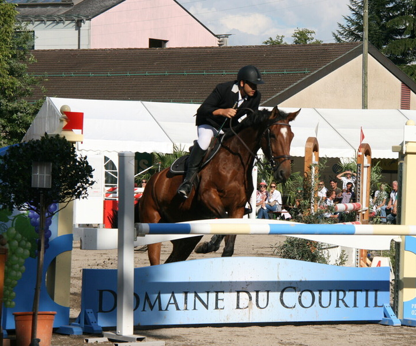 Description de l'image