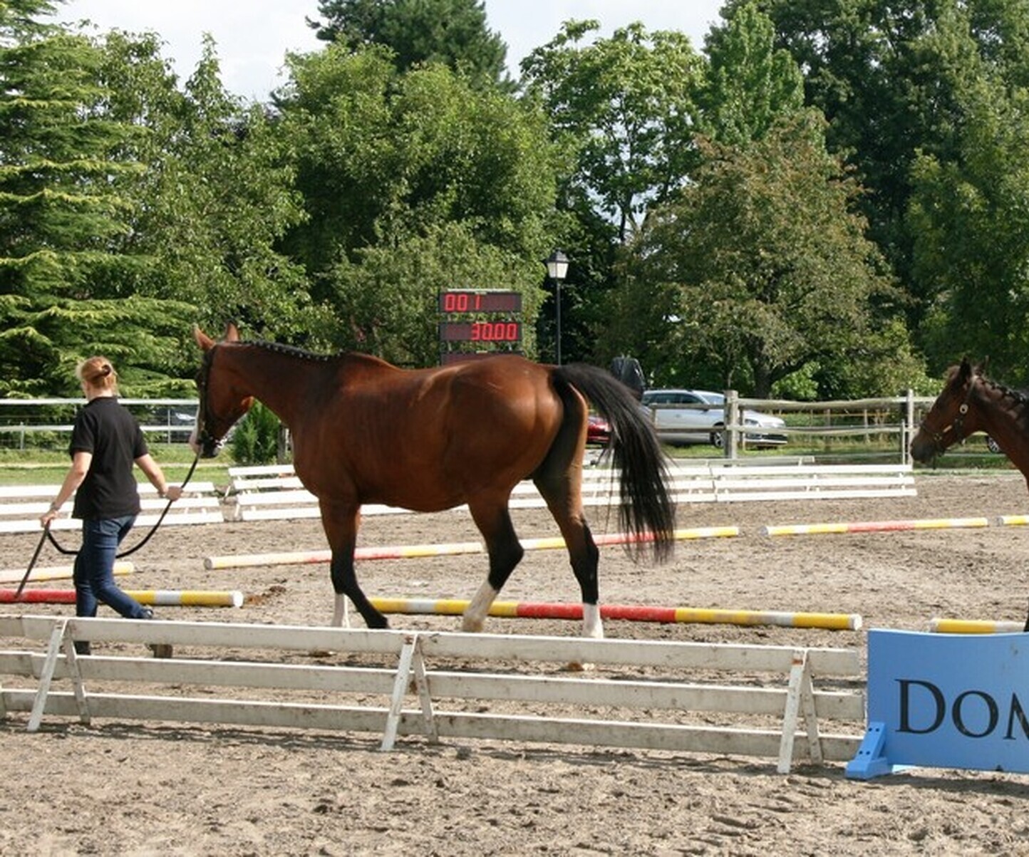 Description de l'image