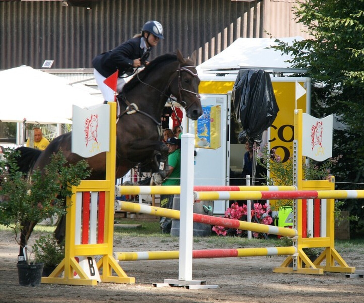 Description de l'image