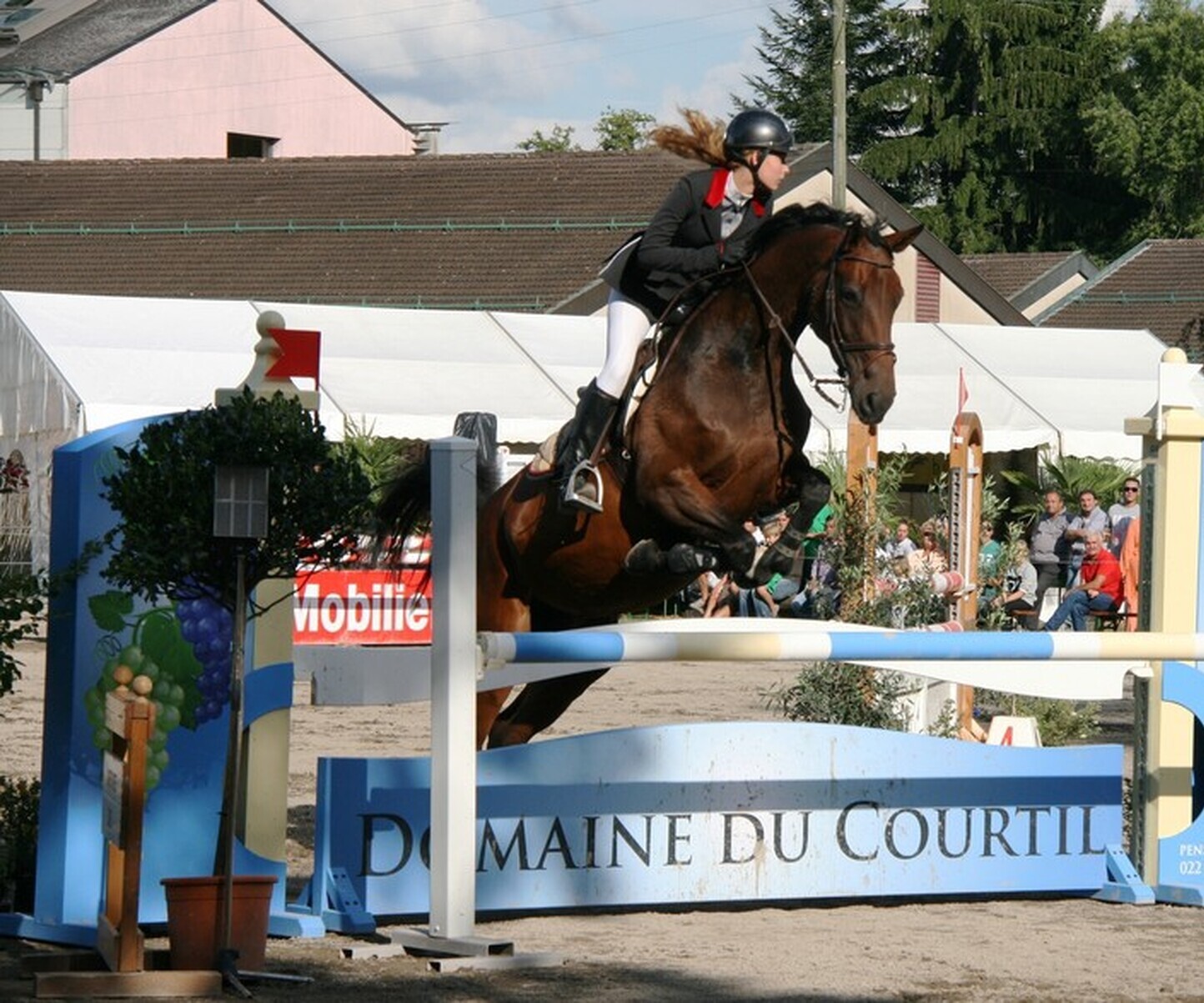 Description de l'image