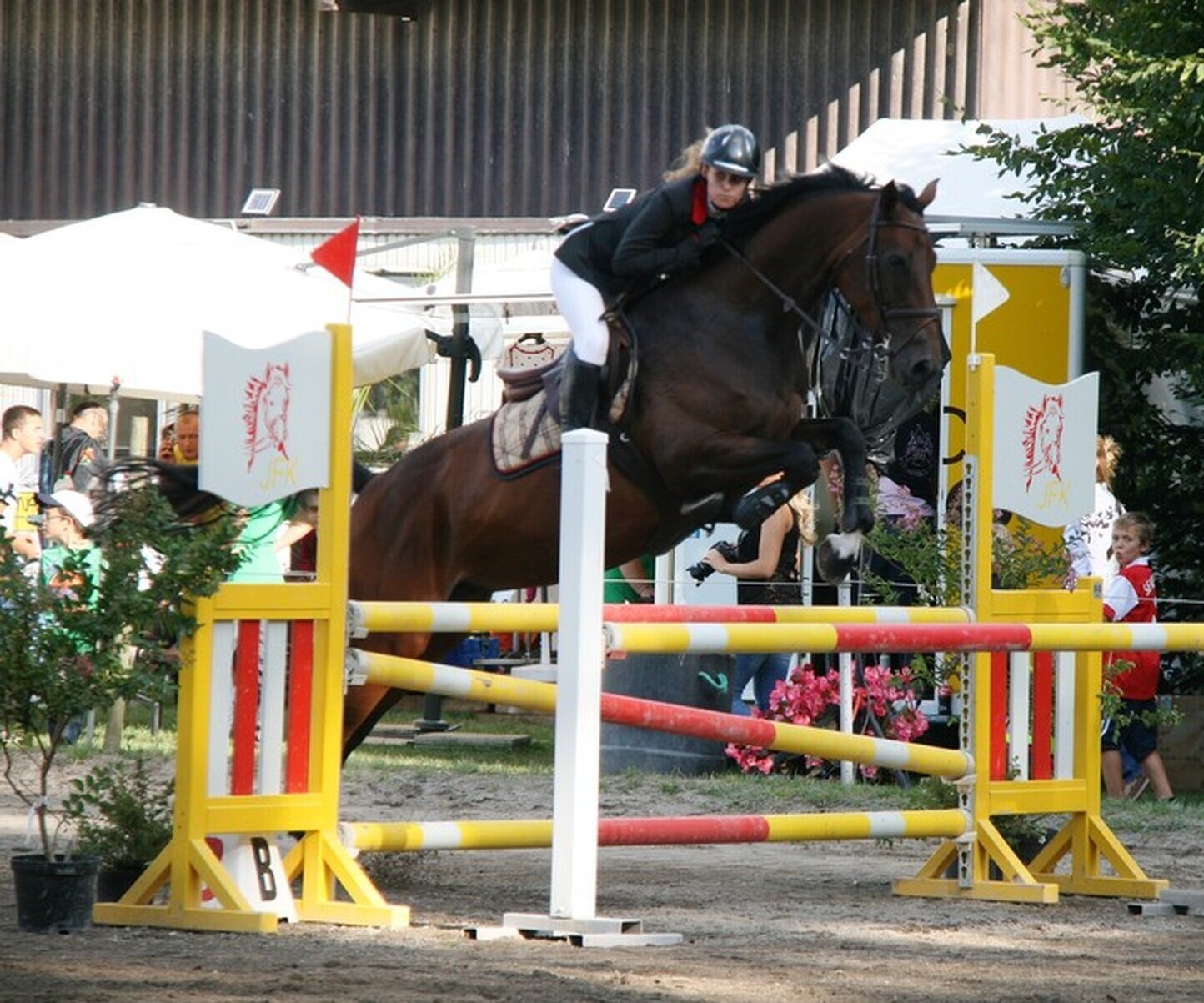 Description de l'image