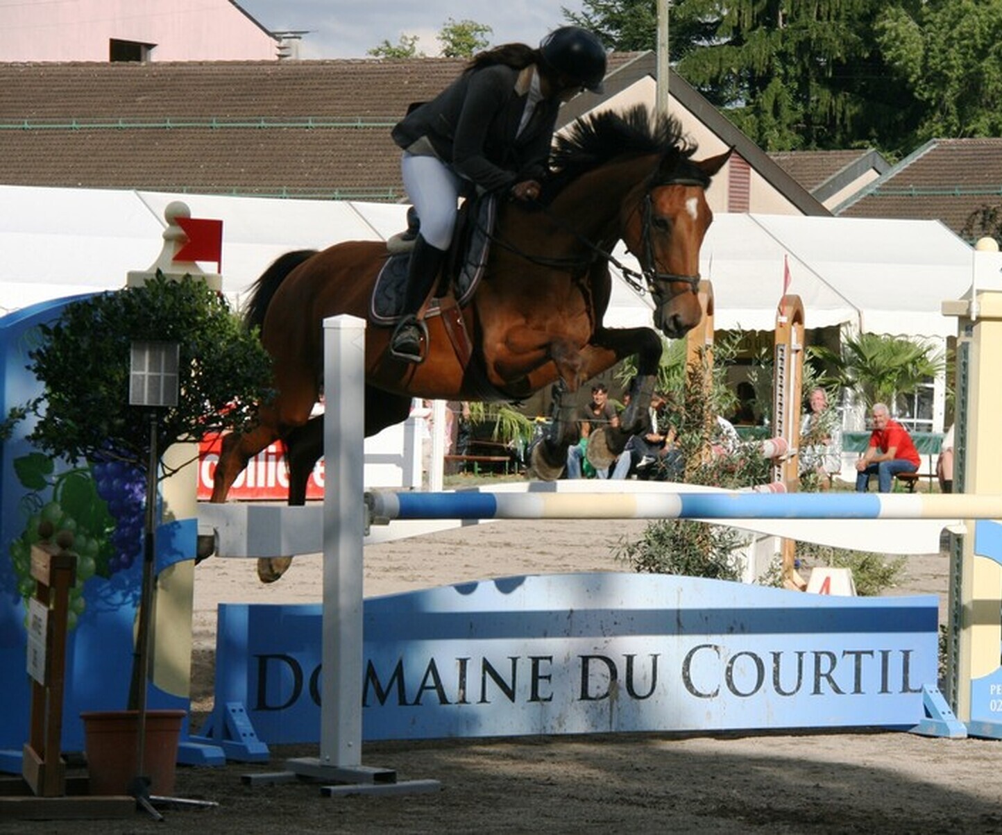 Description de l'image