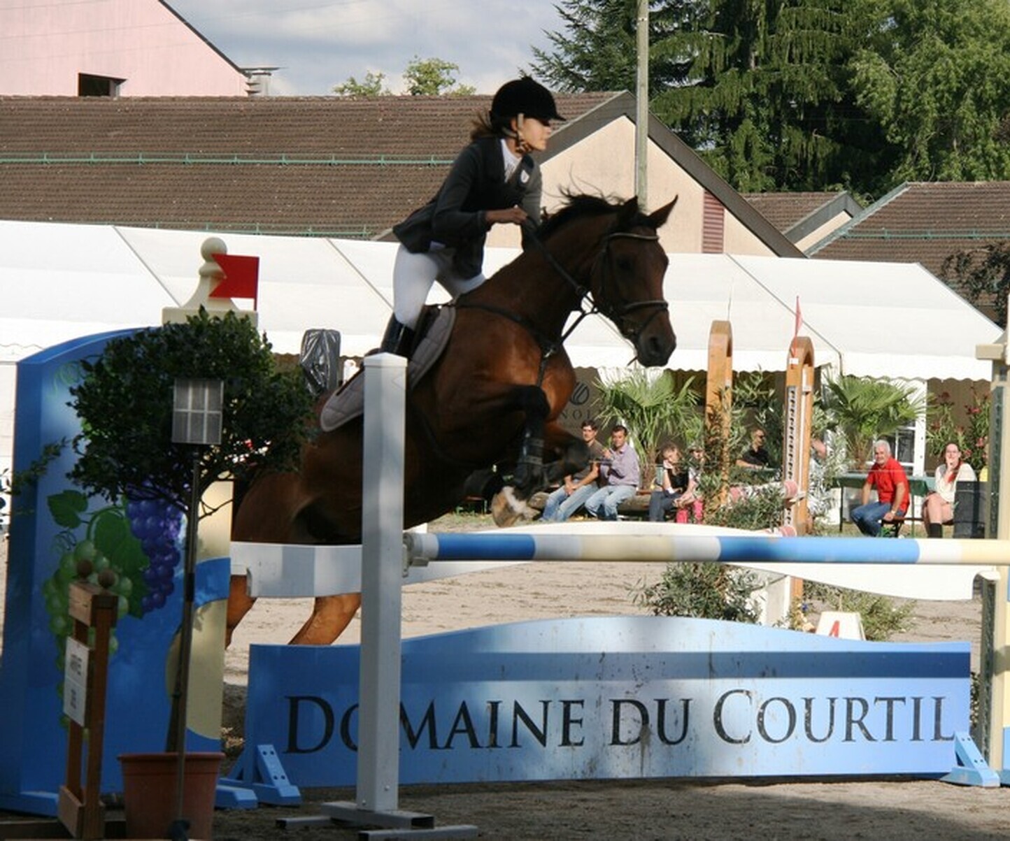 Description de l'image