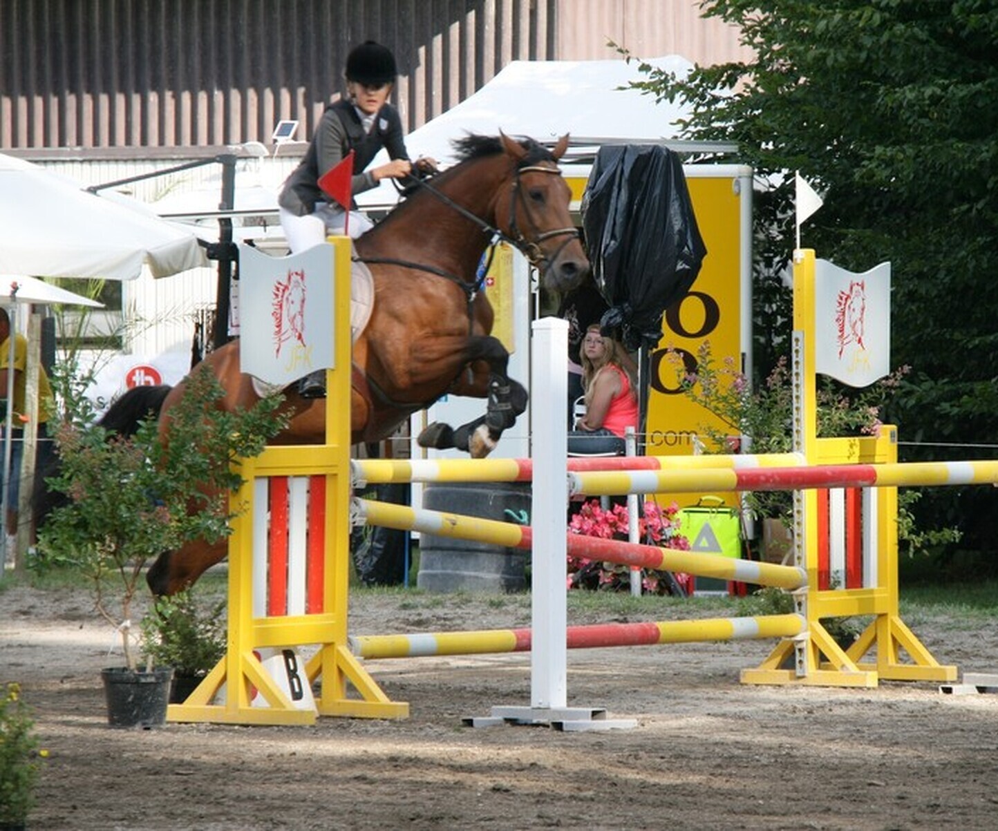 Description de l'image