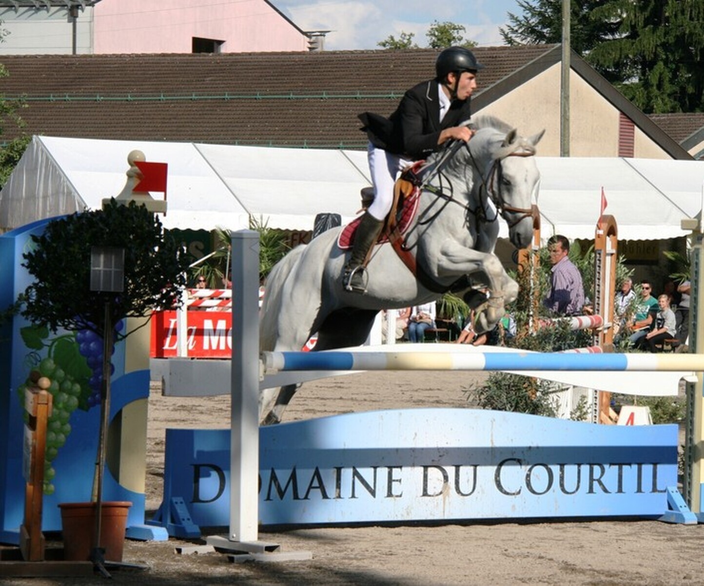 Description de l'image