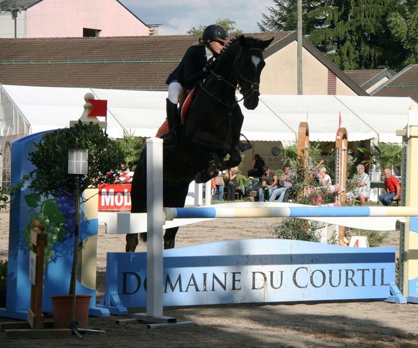 Description de l'image