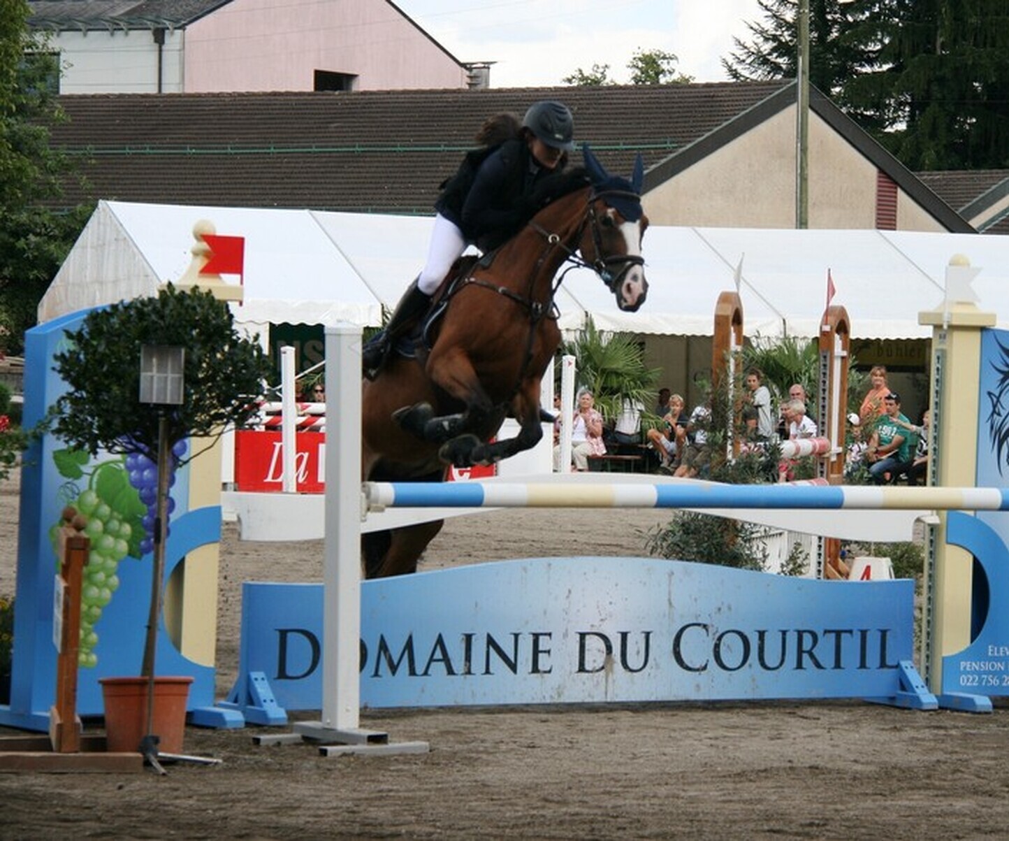 Description de l'image