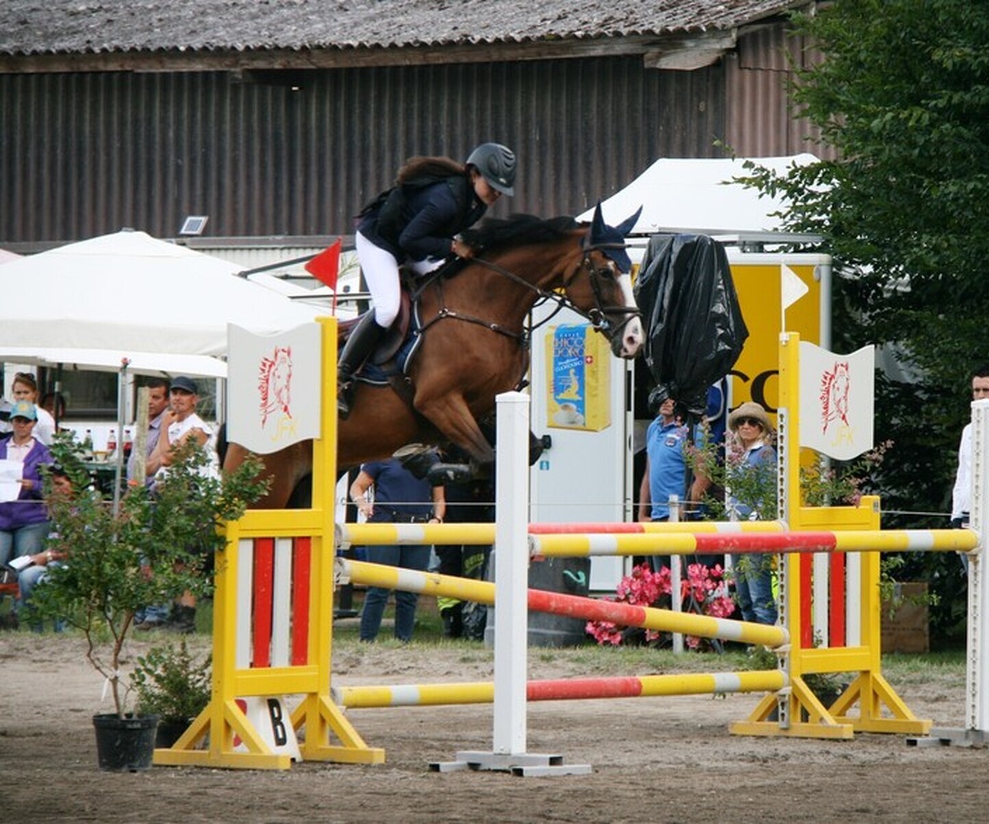 Description de l'image