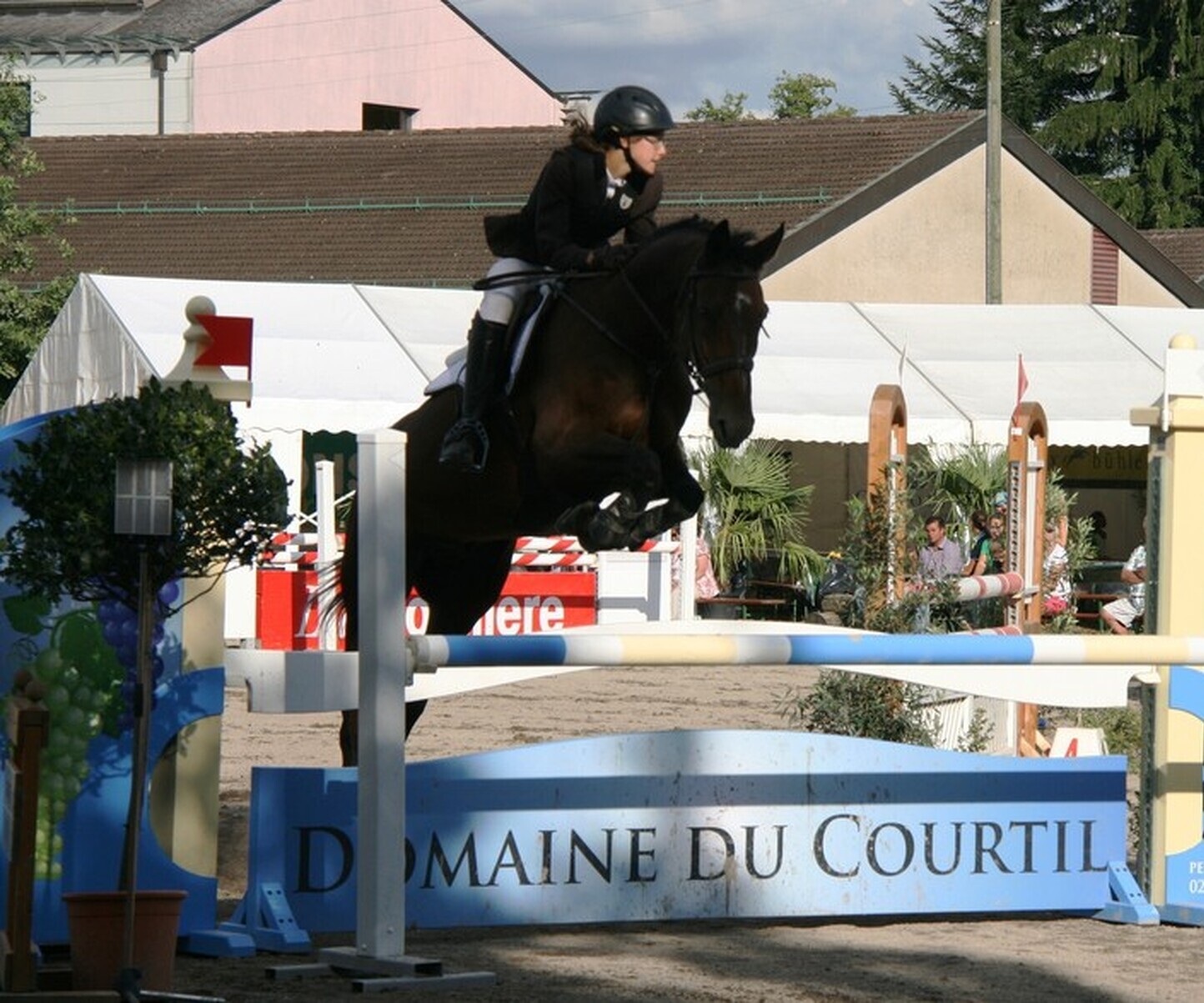 Description de l'image