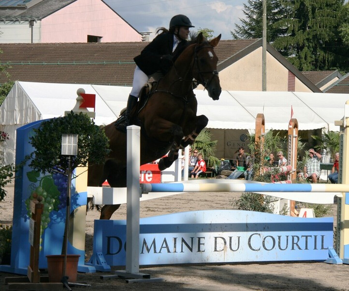 Description de l'image