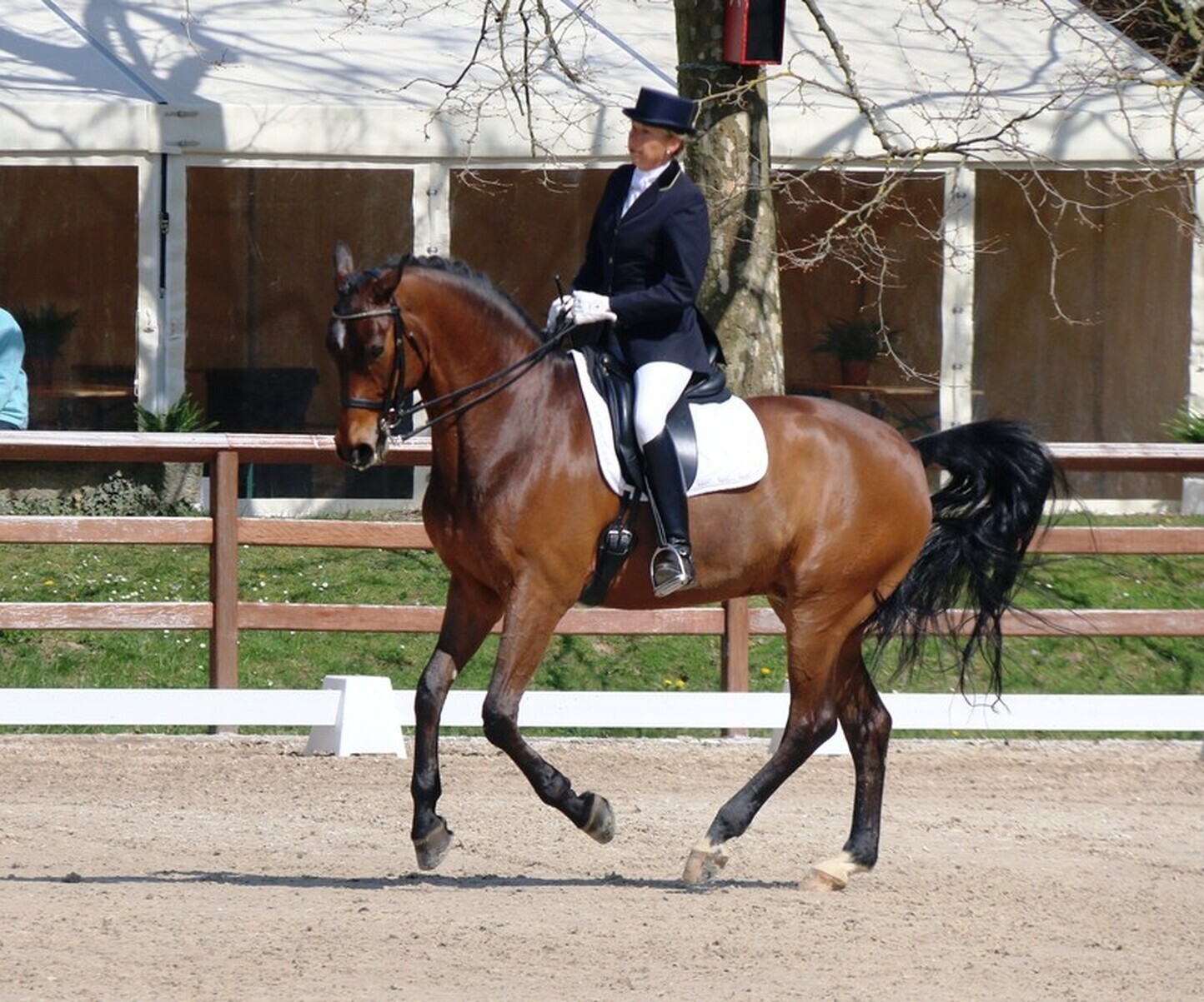 Description de l'image