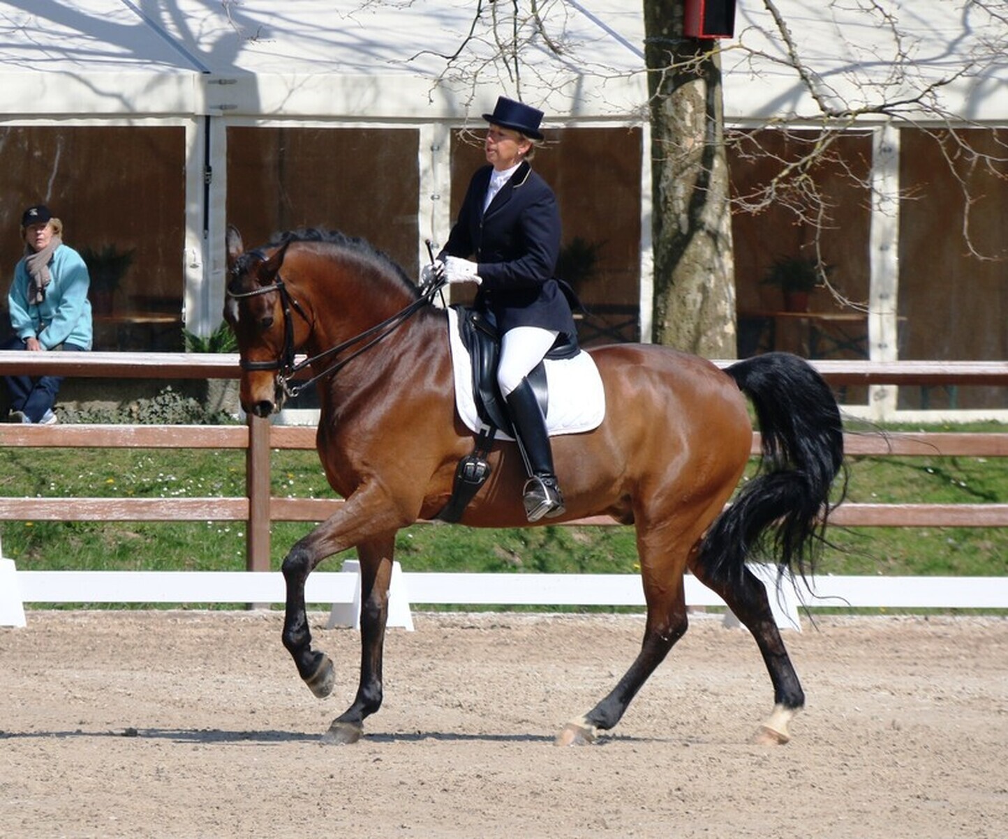 Description de l'image