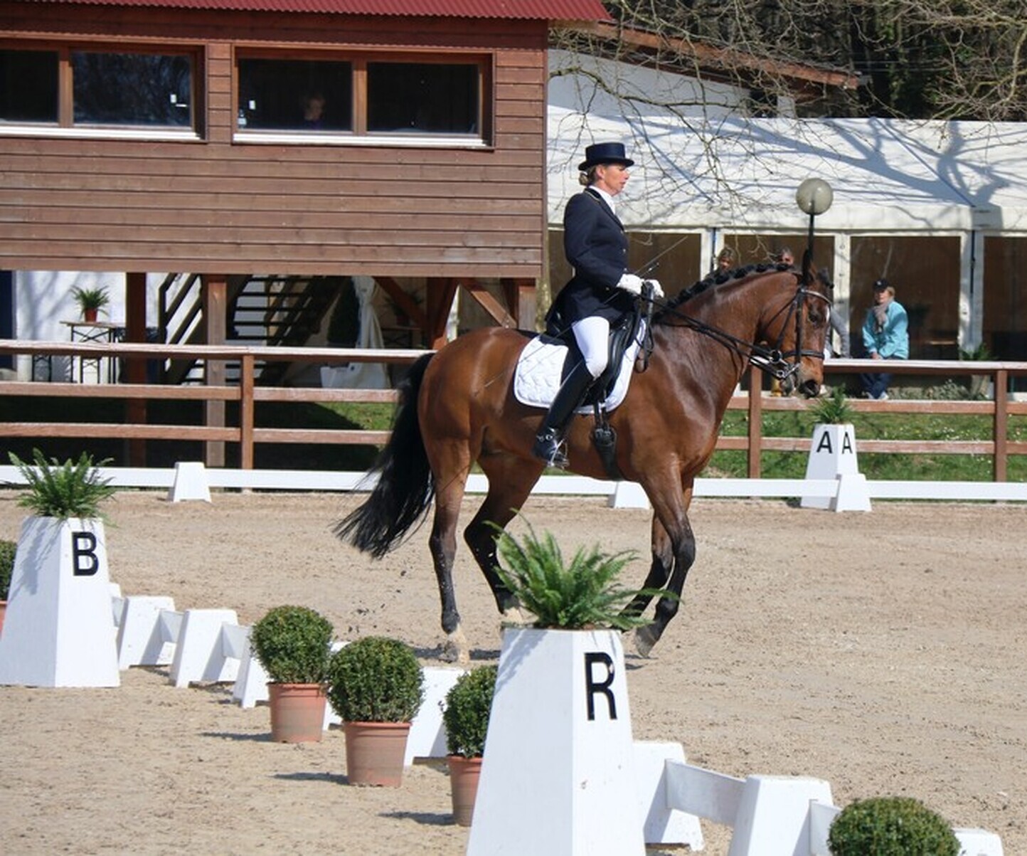 Description de l'image