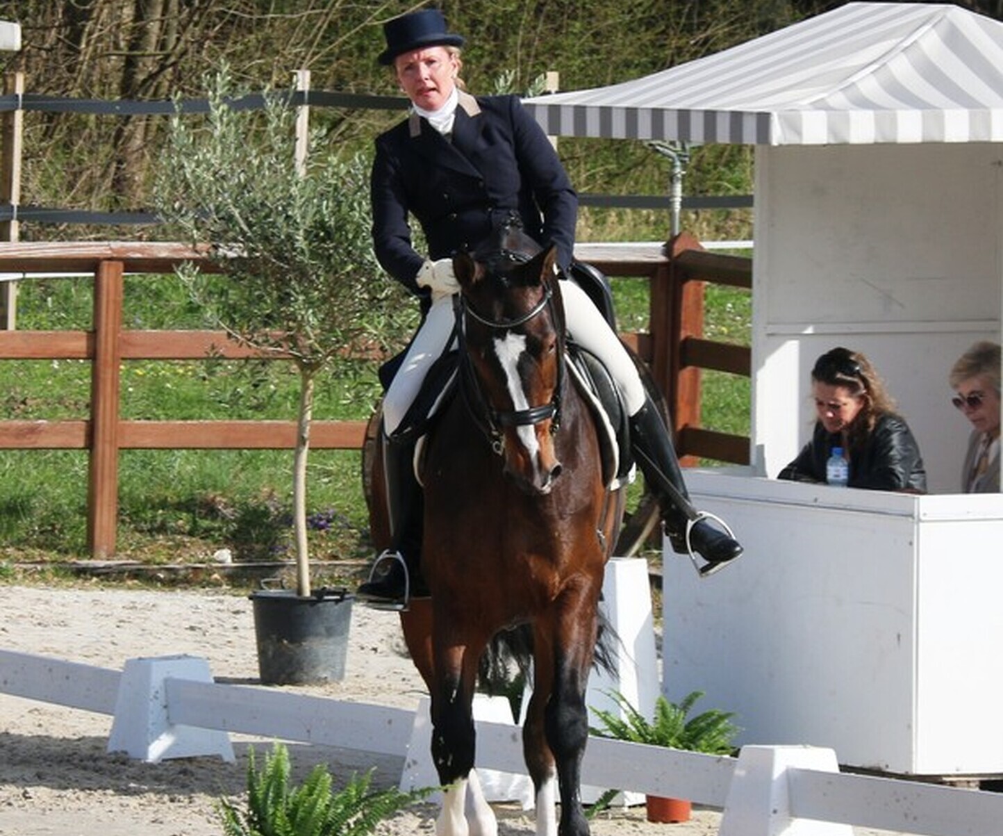 Description de l'image