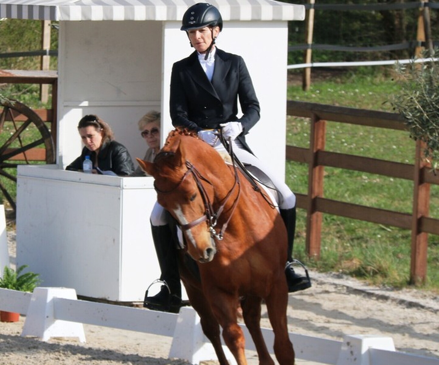 Description de l'image