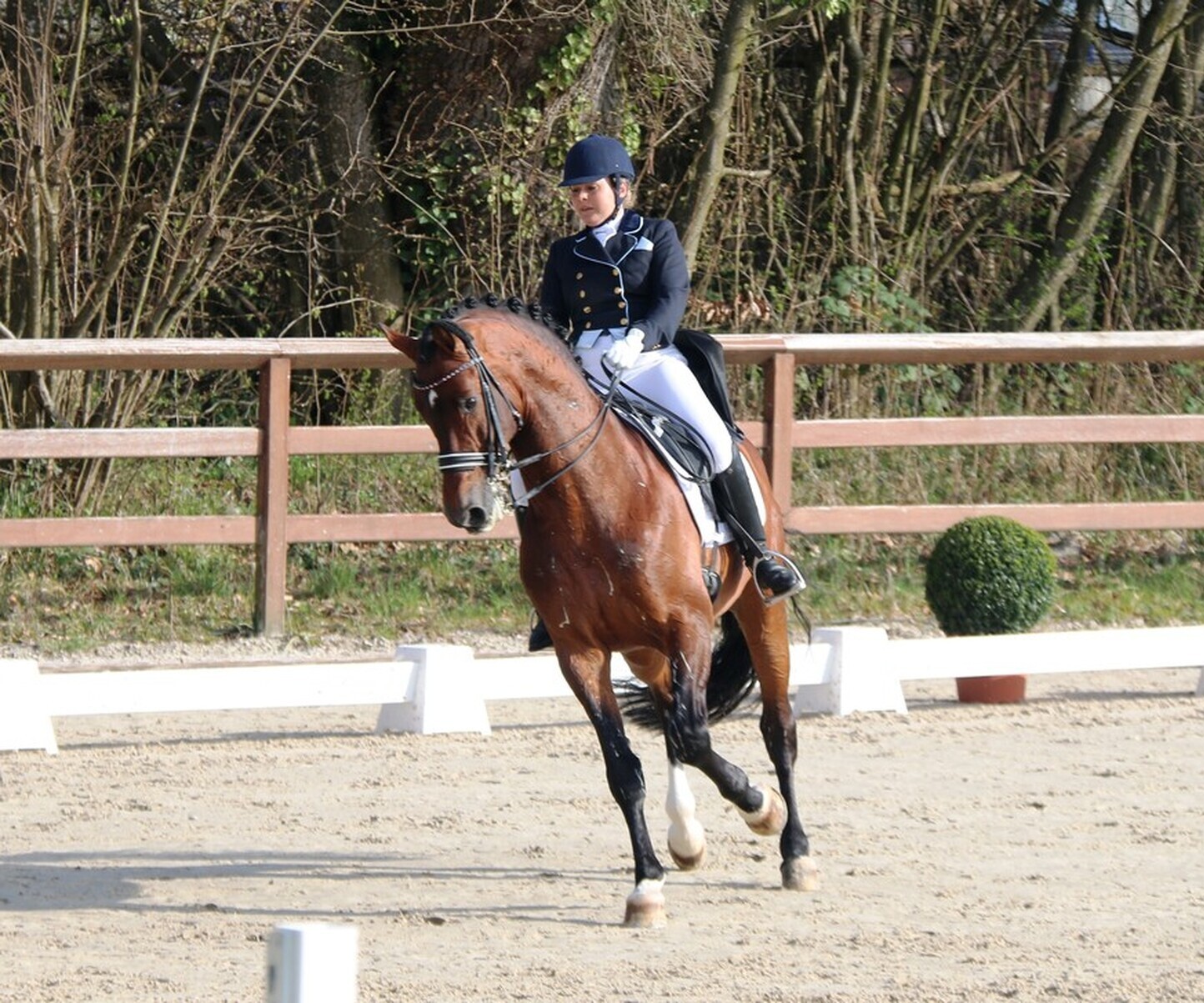 Description de l'image