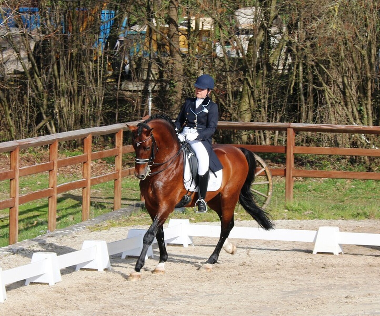 Description de l'image