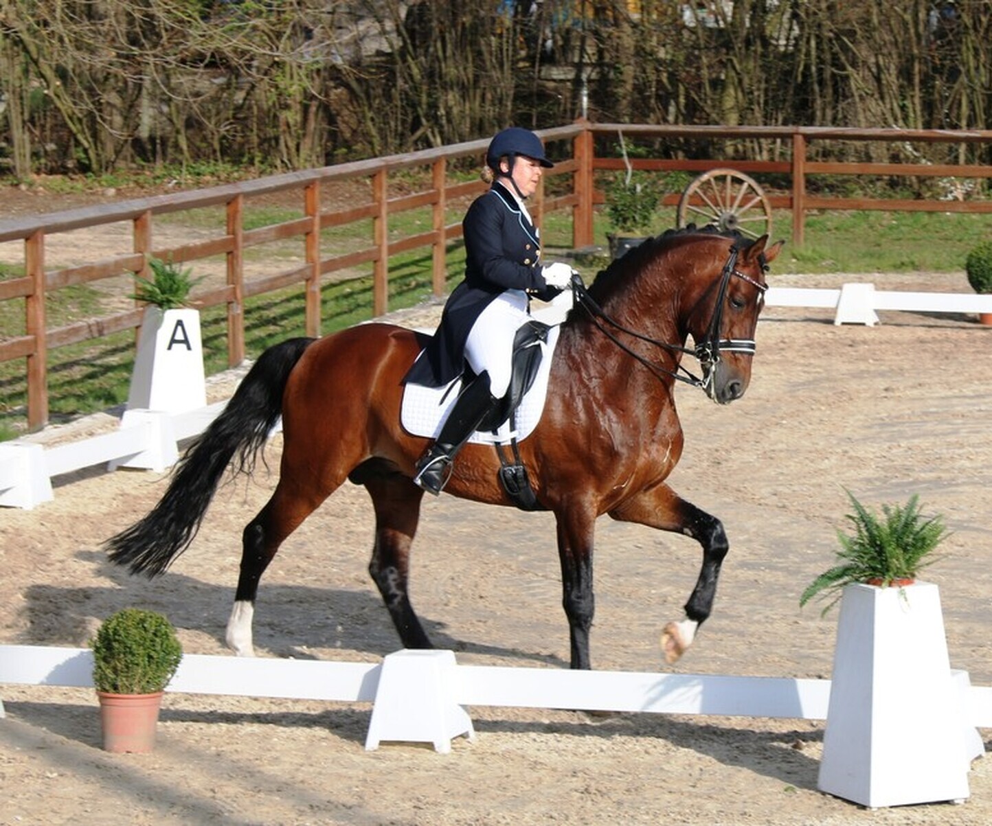 Description de l'image