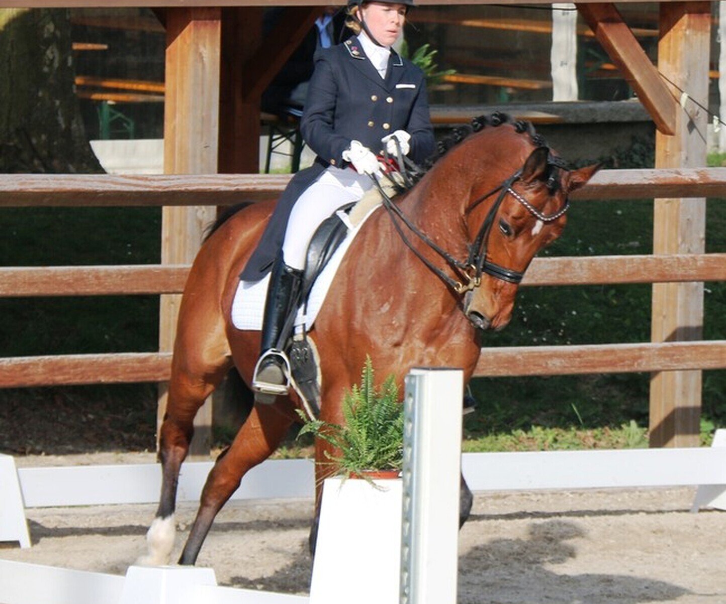 Description de l'image