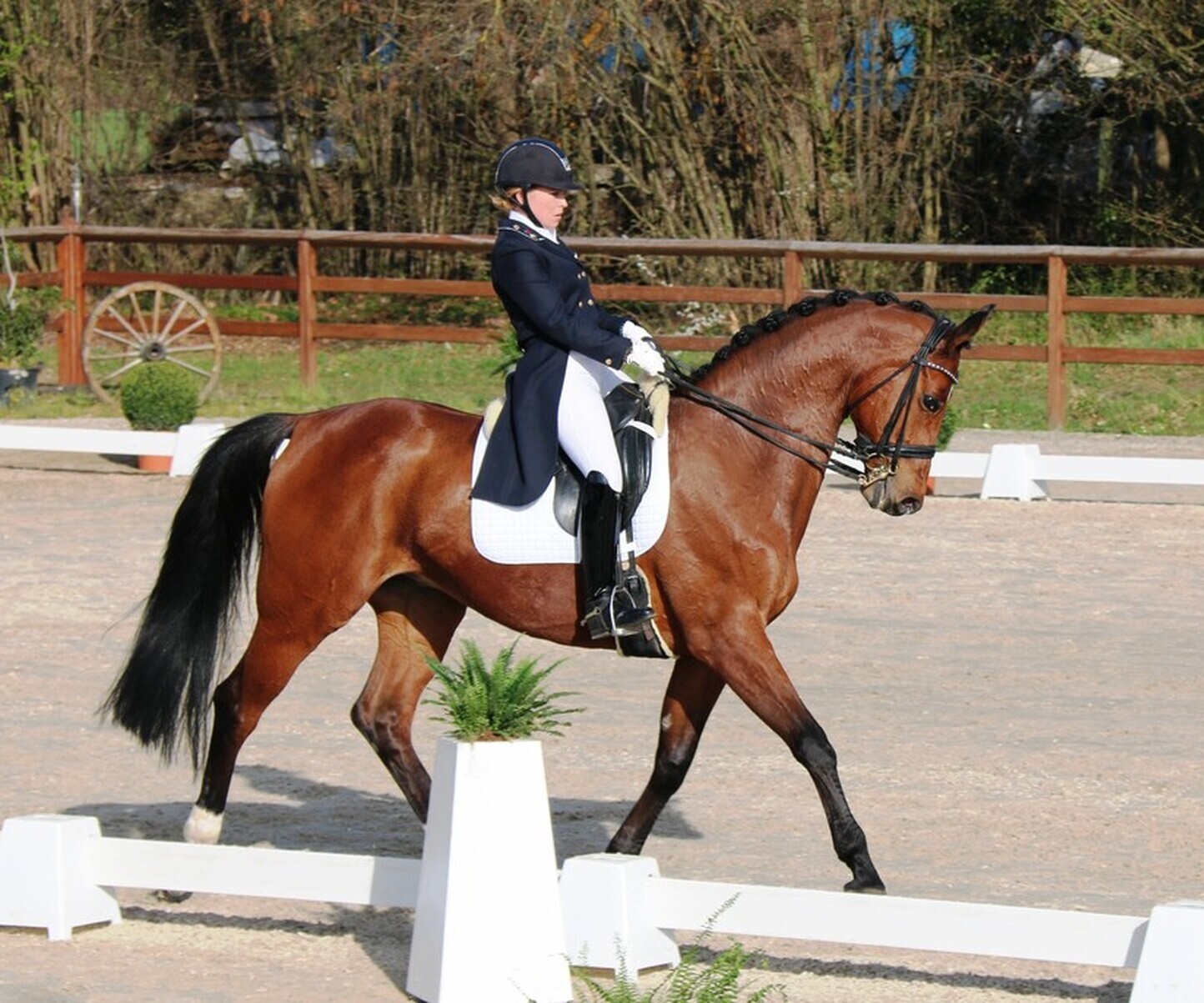 Description de l'image