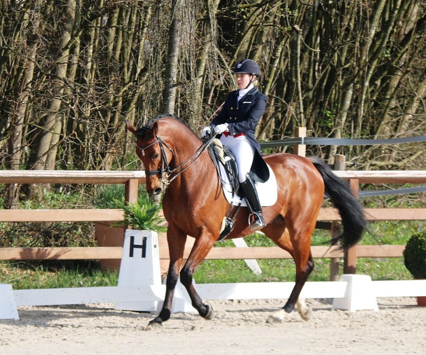 Description de l'image