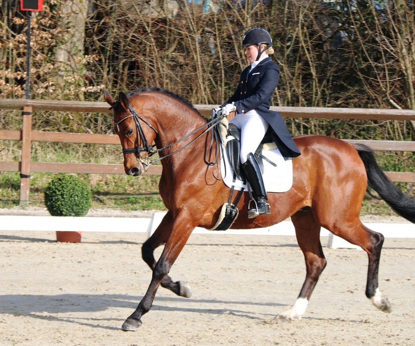 Description de l'image