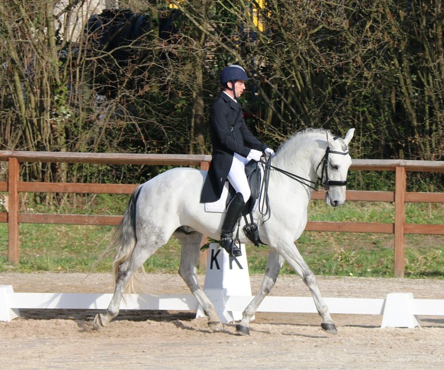 Description de l'image