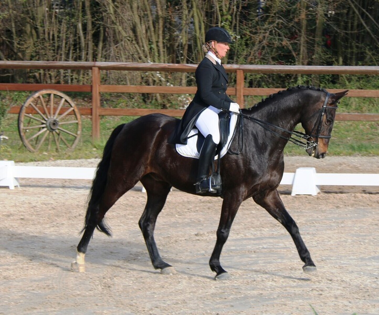 Description de l'image