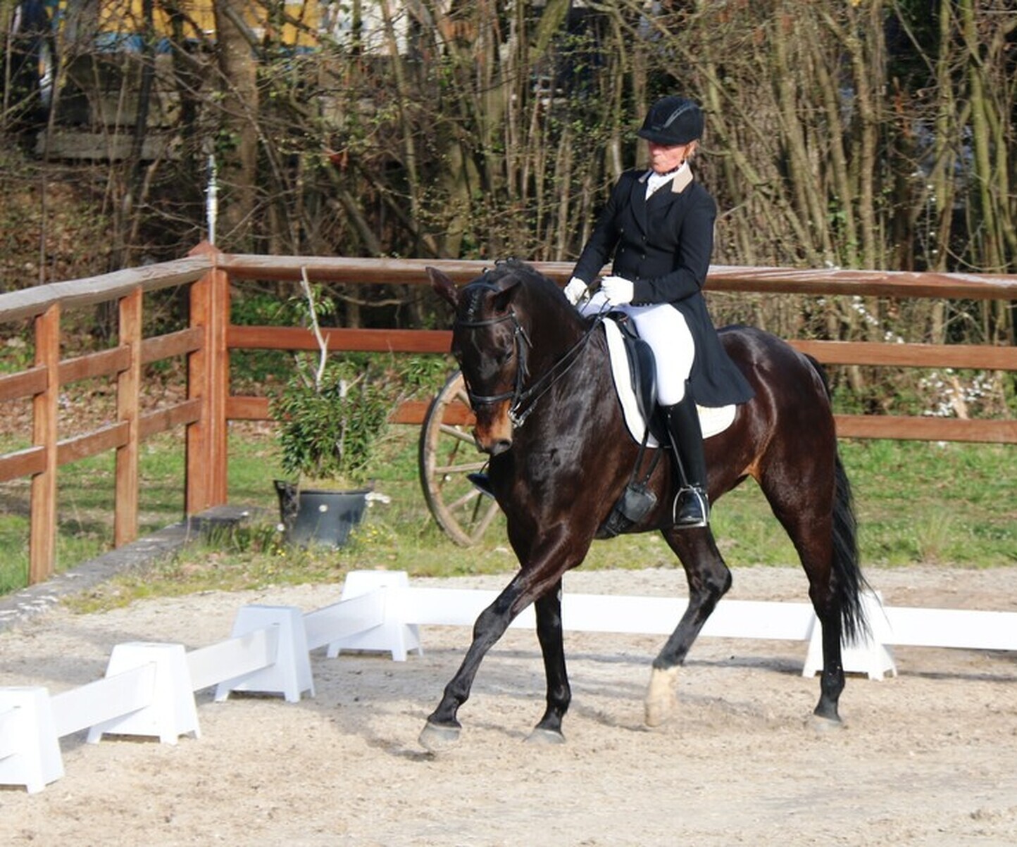 Description de l'image