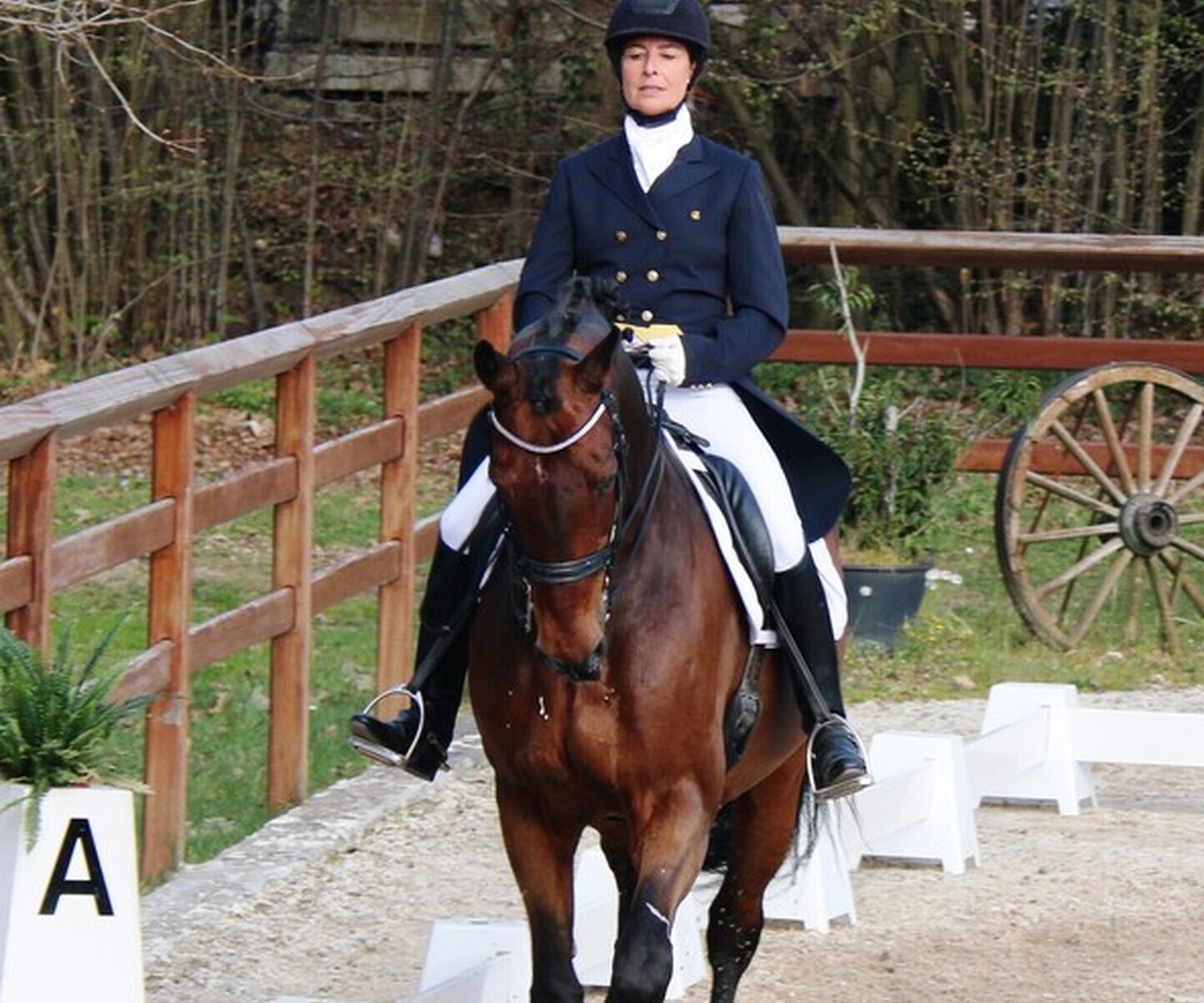 Description de l'image