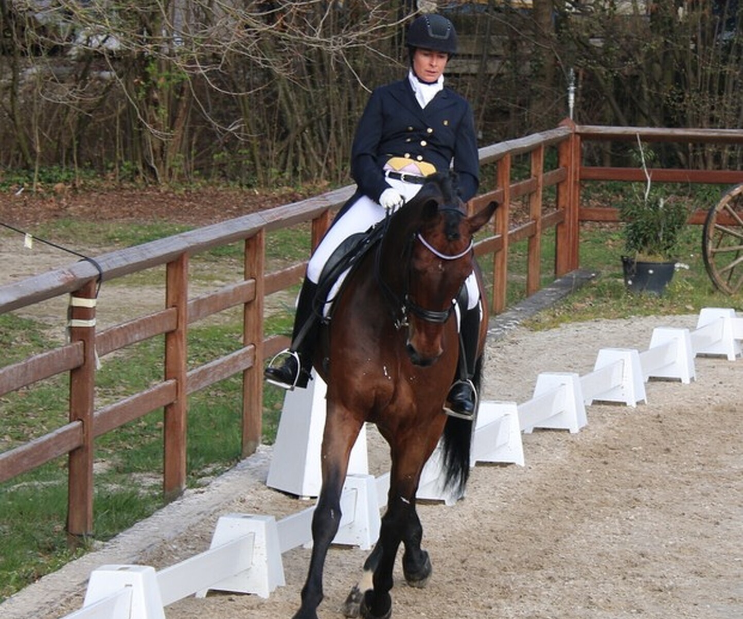 Description de l'image