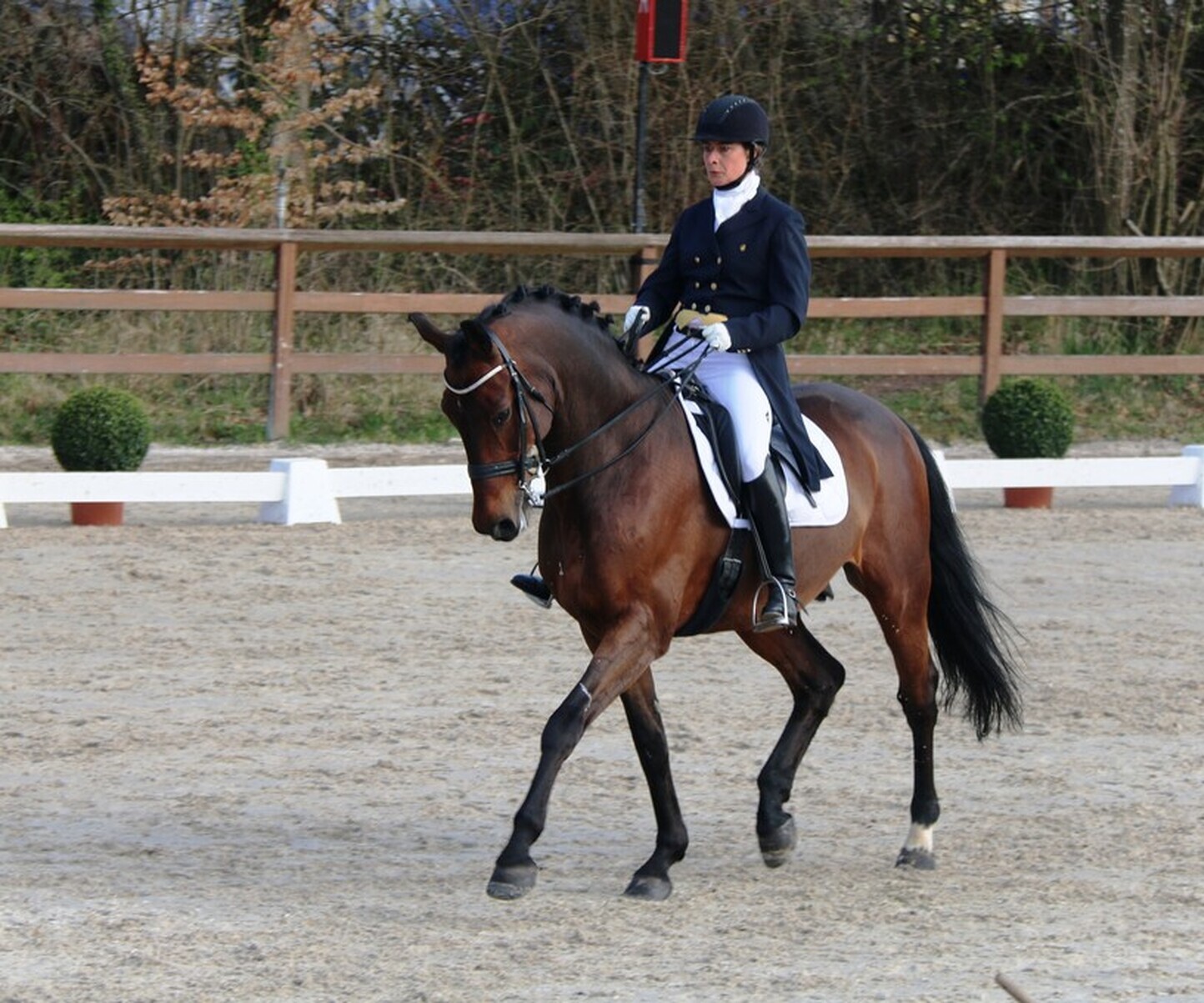 Description de l'image