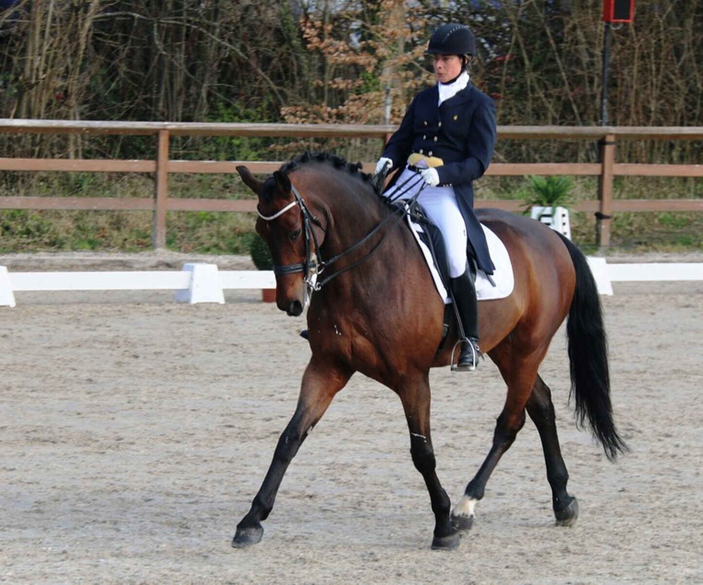 Description de l'image